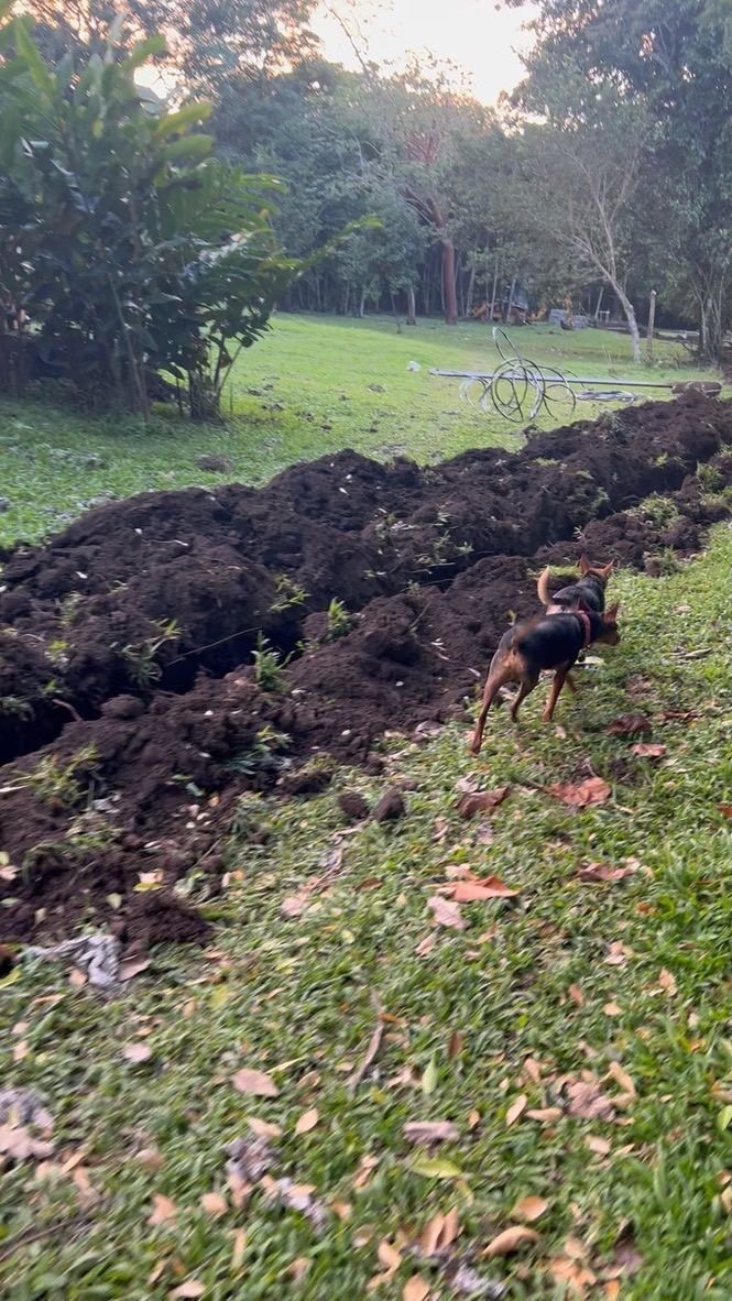 Utility Trenching